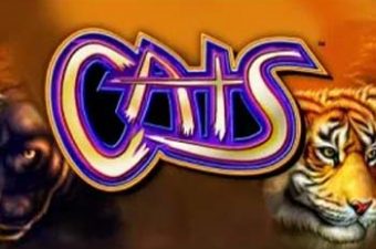 Cats